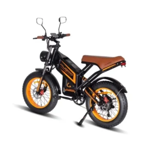 Kugoo V5 Electric Bike