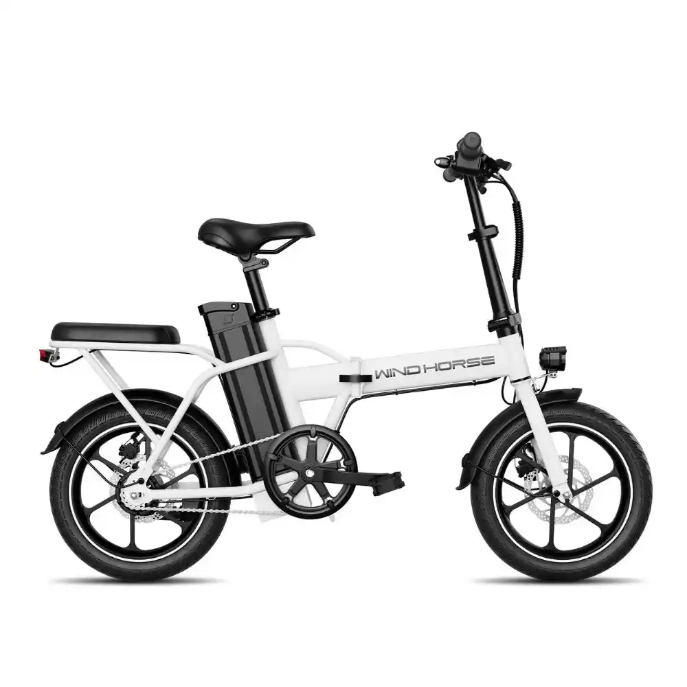 Wind Horse W2A Electric Bike 2 wind horse w2a (2)
