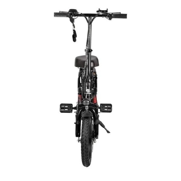 Chenxian A10 - Electric Bike (1)