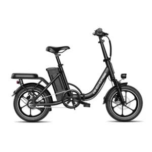 Wind Horse W2B - Electric Bike