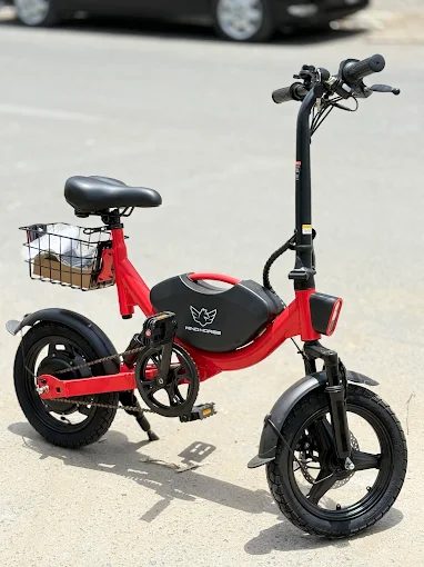 UAE's #1 E-Scooter Store: Al Mubdie Scooters 34 customer bike bought from almubdie